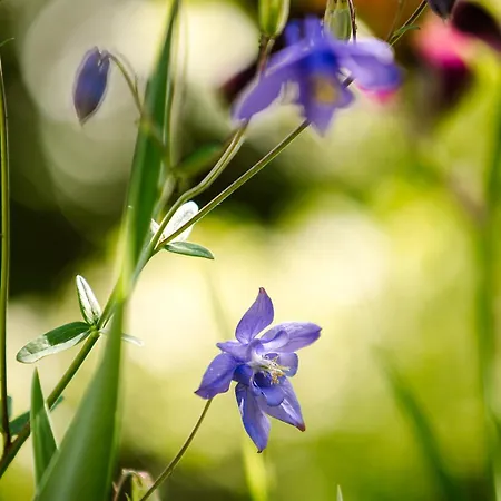 Hygiea - Boutiqueapartments Am Woerthersee アパート *