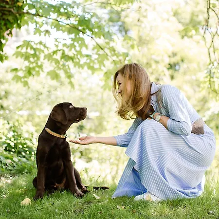 Hygiea - Boutiqueapartments Am Woerthersee アパート